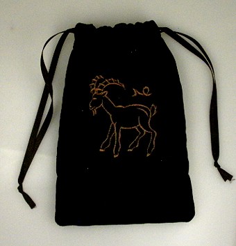 Capricorn Velvet Bag
