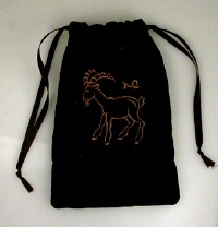 Capricorn Velvet Bag