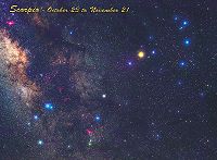 Scorpio Constellation Card
