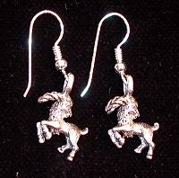 Capricorn Charm Earrings