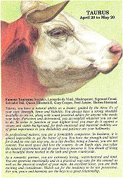 Taurus Astro Profile Postcard