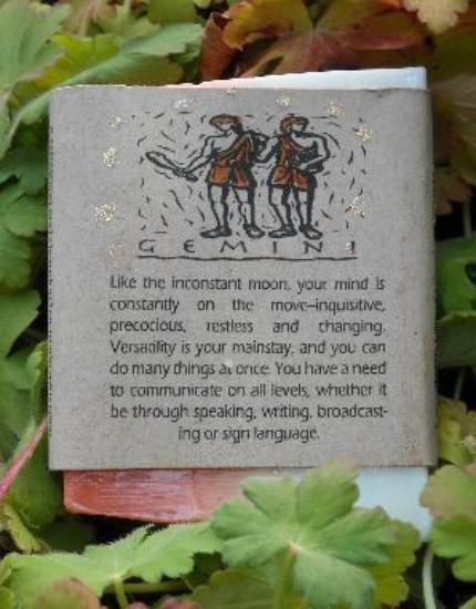 Gemini Herbal Aromatherapy Soap