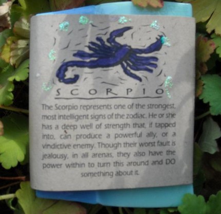 Scorpio Herbal Aromatherapy Soap