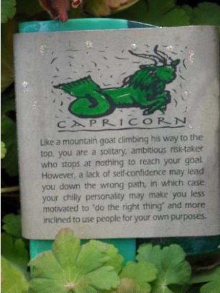 Capricorn Herbal Aromatherapy Soap