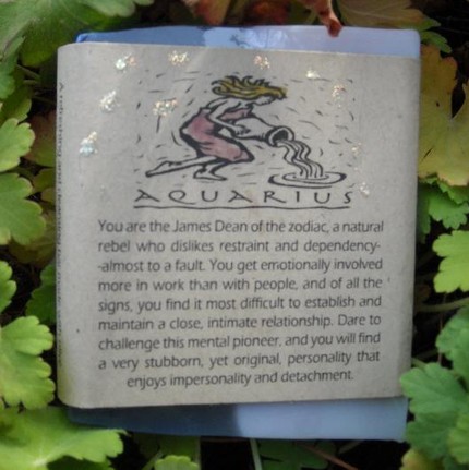 Aquarius Herbal Aromatherapy Soap