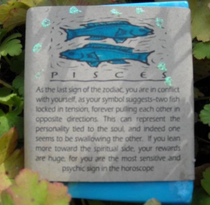 Pisces Herbal Aromatherapy Soap